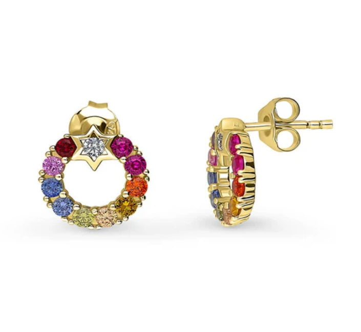Star Wreath Multi Color CZ Stud Earrings in Sterling Silver